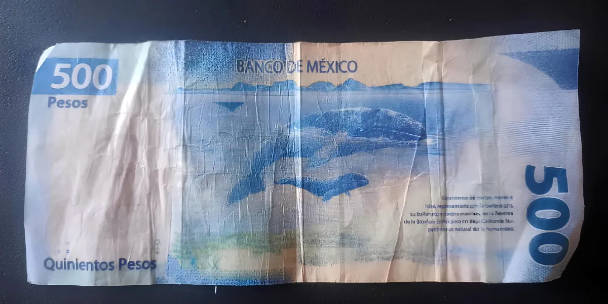 Alertan comerciantes de Yautepec por circulación de billetes falsos