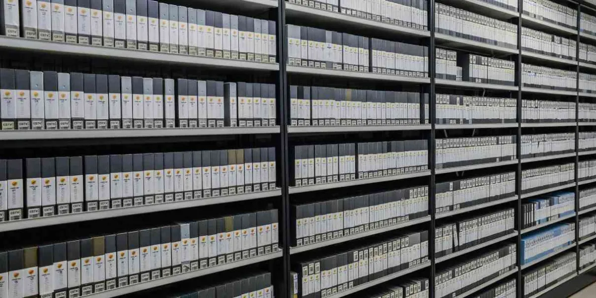 La vida a través del archivo