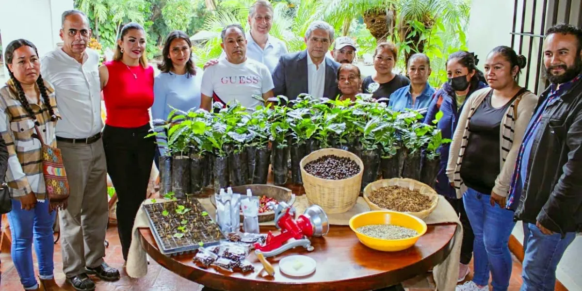 Buscan cafetaleros de Cuernavaca ser reconocidos por el FAEFOM