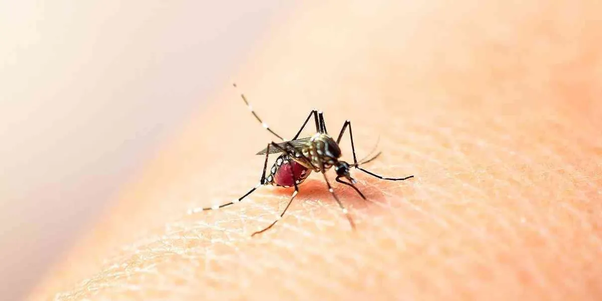 Aumentan decesos por dengue; van cuatro en la última semana