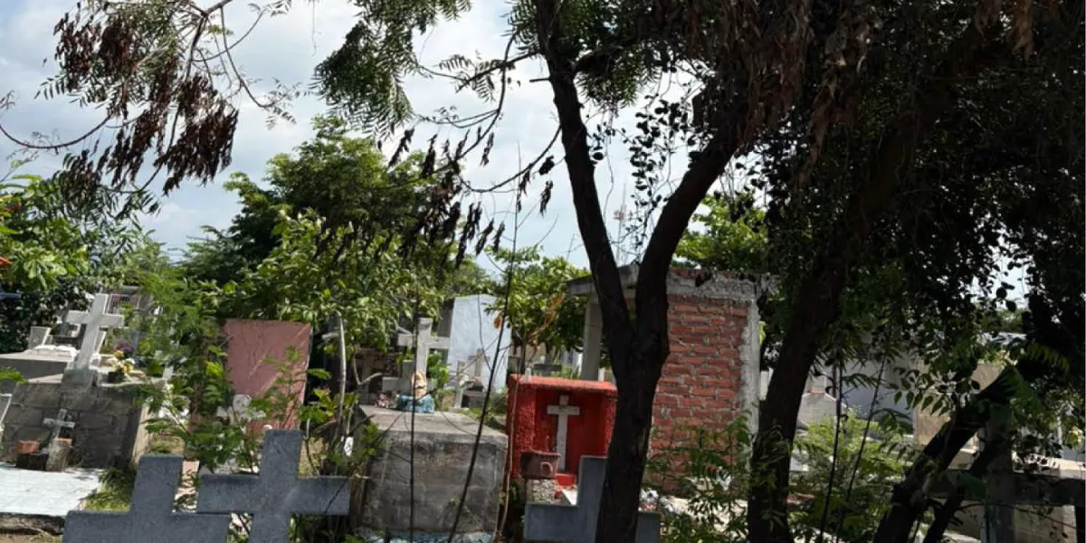 Bomberos de Cuernavaca alertan por enjambres de abejas en panteones y emiten recomendaciones para prevenir incendios por ofrendas del Día de Muertos.