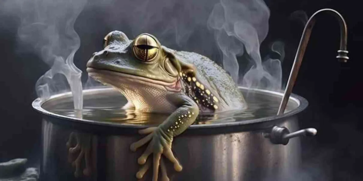 Caldo de rana