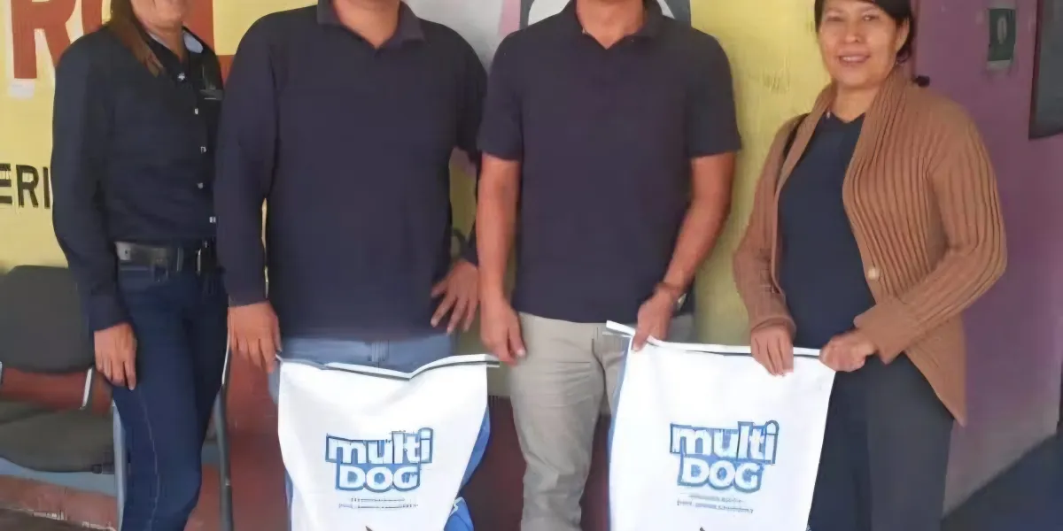 Prepara Yautepec "Croquetón 2025" para respaldar a perros y gatos rescatados 