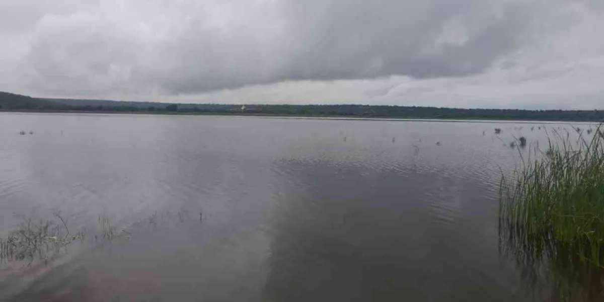Restaurantes dañan con aguas negras la laguna de Coatetelco