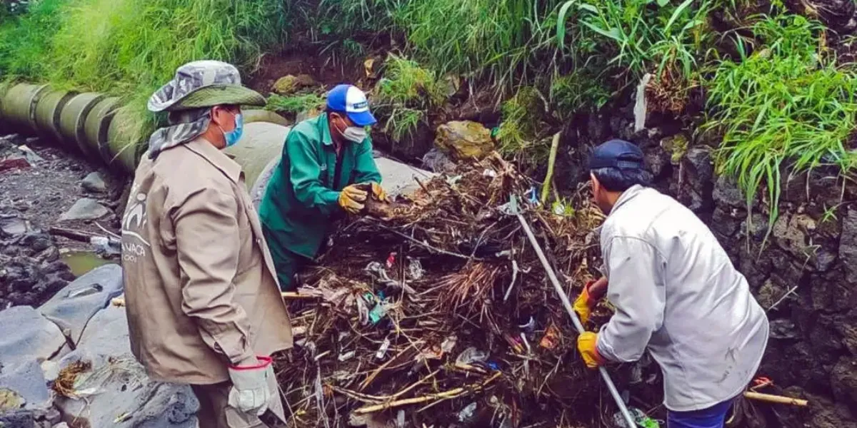 Cuernavaca detecta más de 120 descargas ilegales por kilómetro que contaminan 60 barrancas, informa la Dirección de Desarrollo Sustentable municipal.