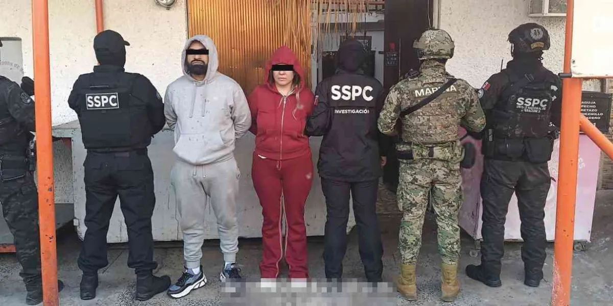 Cateos en 4 estados; detienen a 15 integrantes de una célula delictiva