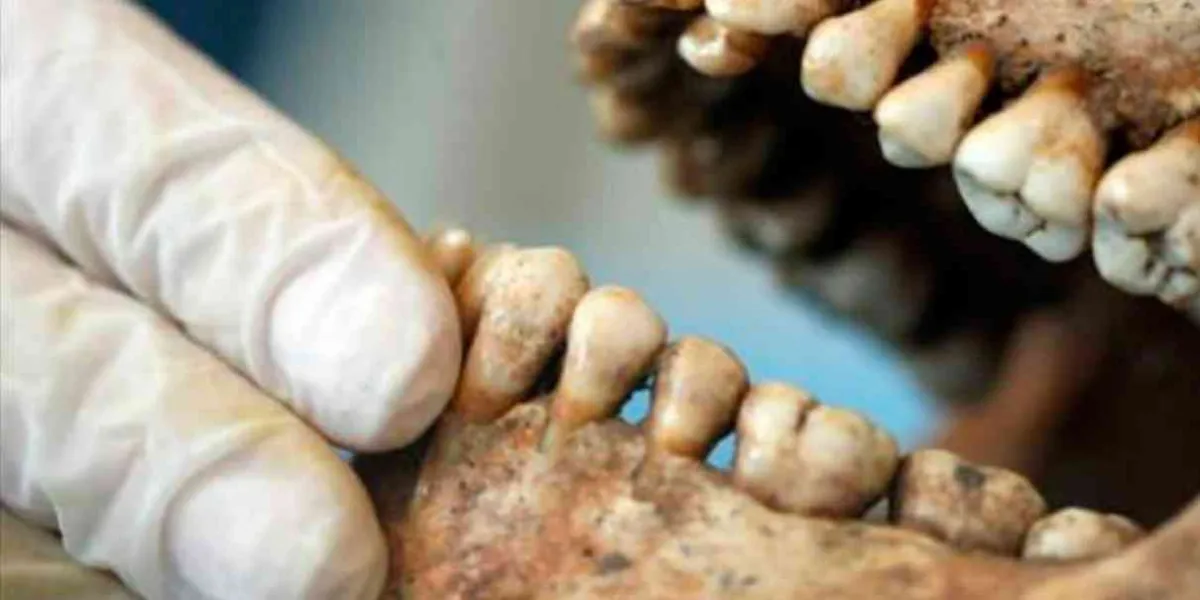 La ciencia forense, el arte de hablar por los muertos