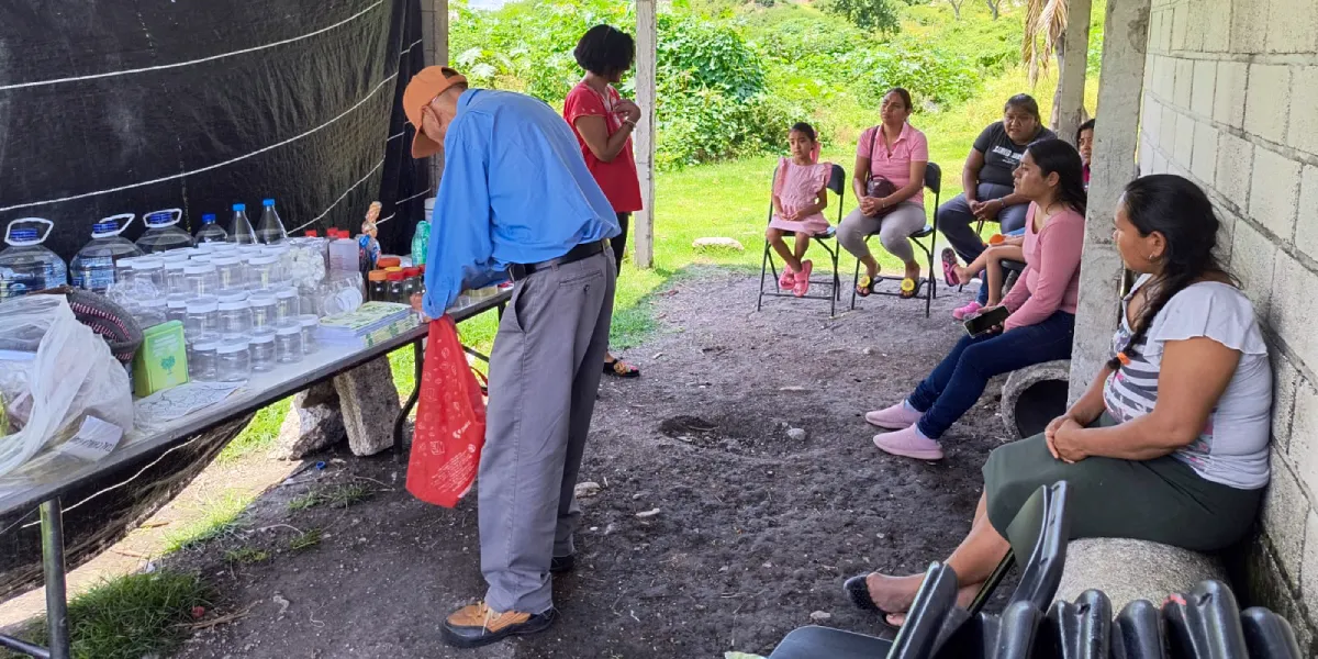 Talleres de herbolaria en comunidades enseñan fitoproductos naturales, rescatan saberes ancestrales y generan oportunidades económicas locales.