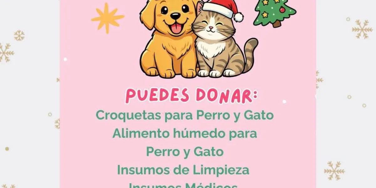  En Cuautla, invitan a participar en el Croquetón Navideño 2025 para apoyar a animales rescatados
