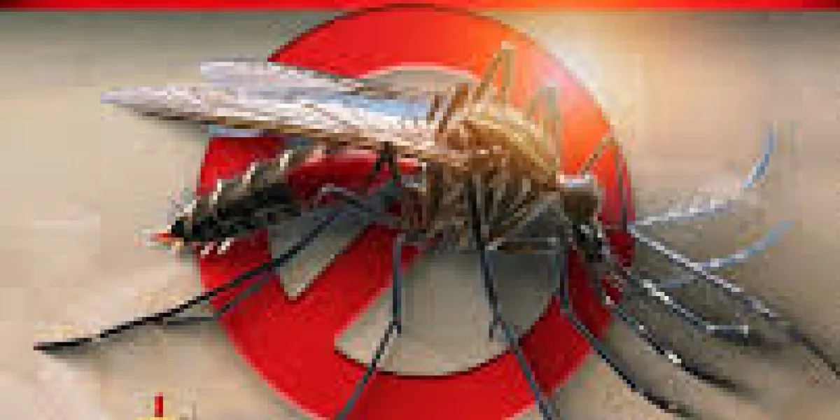 Cuautla reduce 99 por ciento los casos de dengue gracias a acciones preventivas