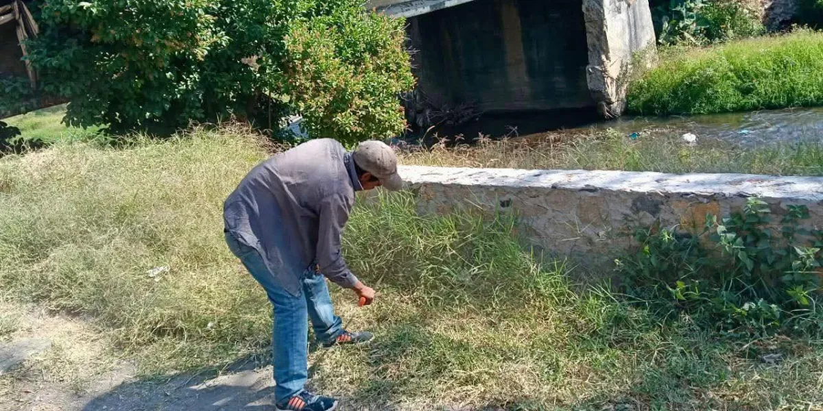 Brigadas ambientales refuerzan el saneamiento del Río Cuautla para prevenir riesgos, proteger ecosistemas y mejorar la imagen urbana.