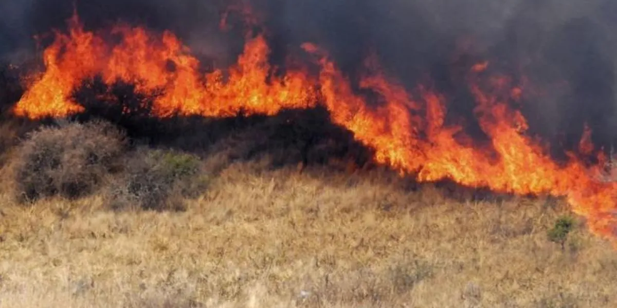 Repunte de incendios de pastizales en Yecapixtla enciende alertas de Protección Civil; pirotecnia y quemas elevan el riesgo en zonas habitadas.