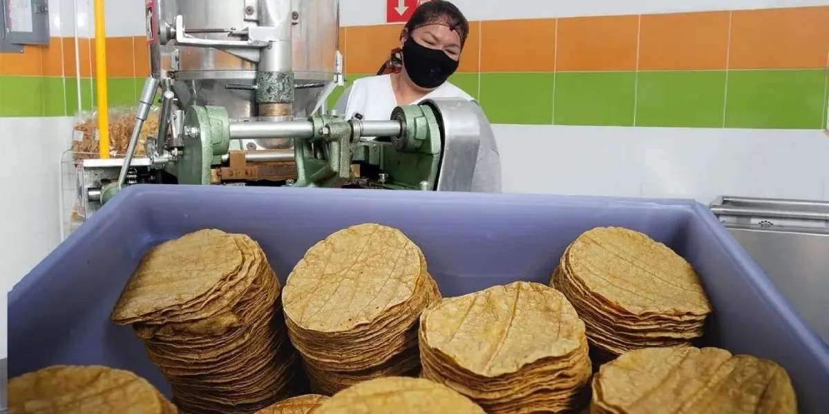Confirman que no habrá aumento en el precio de la tortilla en Morelos durante 2026; se mantendrá entre 22 y 28 pesos por kilo.