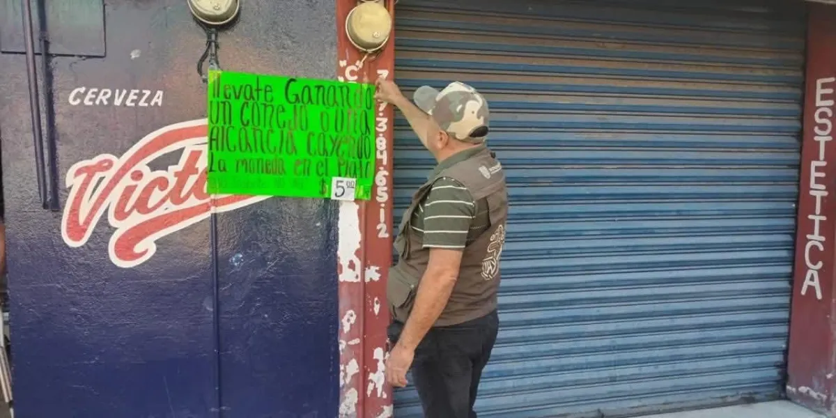 Exhortan a municipios de Morelos a prohibir la venta de animales en carnavales; advierten sanciones por violar la Ley Fauna.