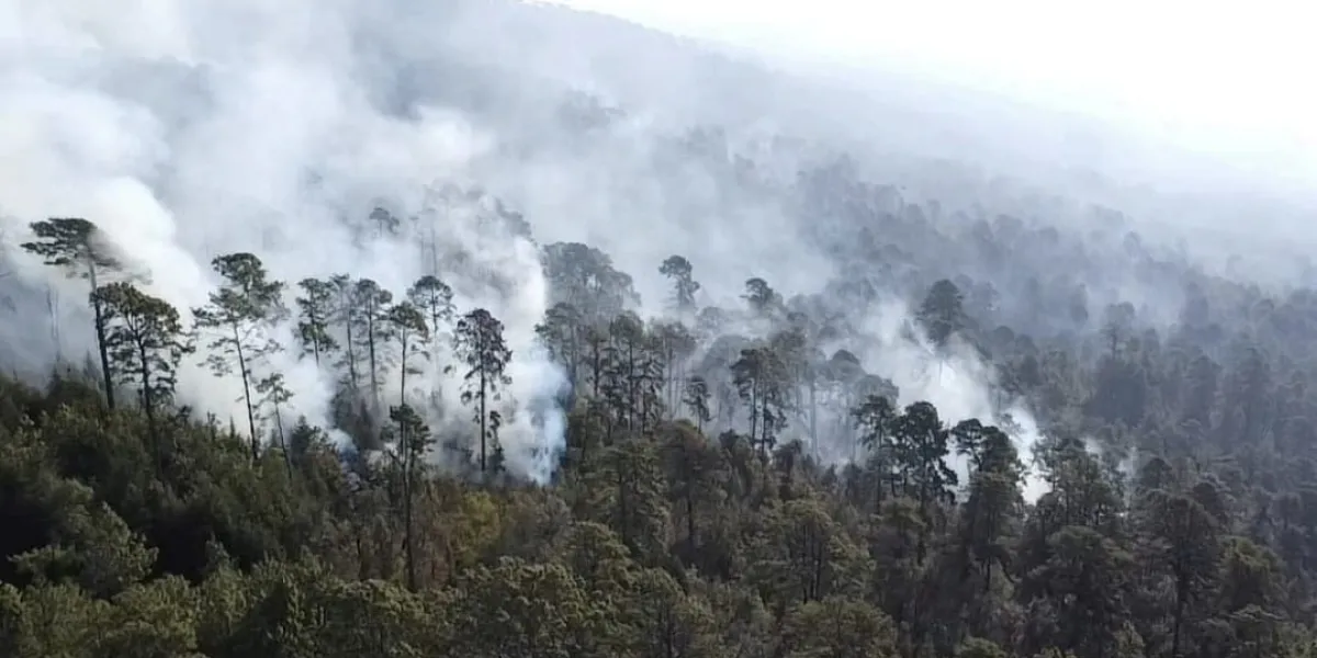 Protección Civil de Morelos informó que en 2026 se han registrado cerca de 75 incendios forestales; febrero y marzo concentran más siniestros.