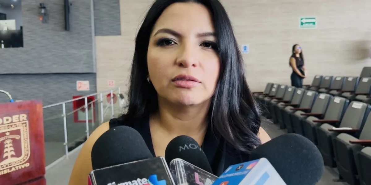 La diputada Melissa Montes de Oca informó que el Congreso de Morelos prevé aprobar la Ley de violencia política y tipificar la violencia institucional en el Código Penal estatal.