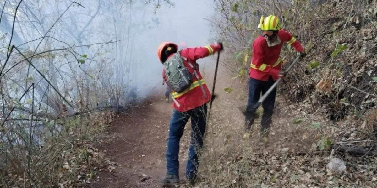 Tlayacapan refuerza acciones contra incendios forestales y llama a denunciar responsables