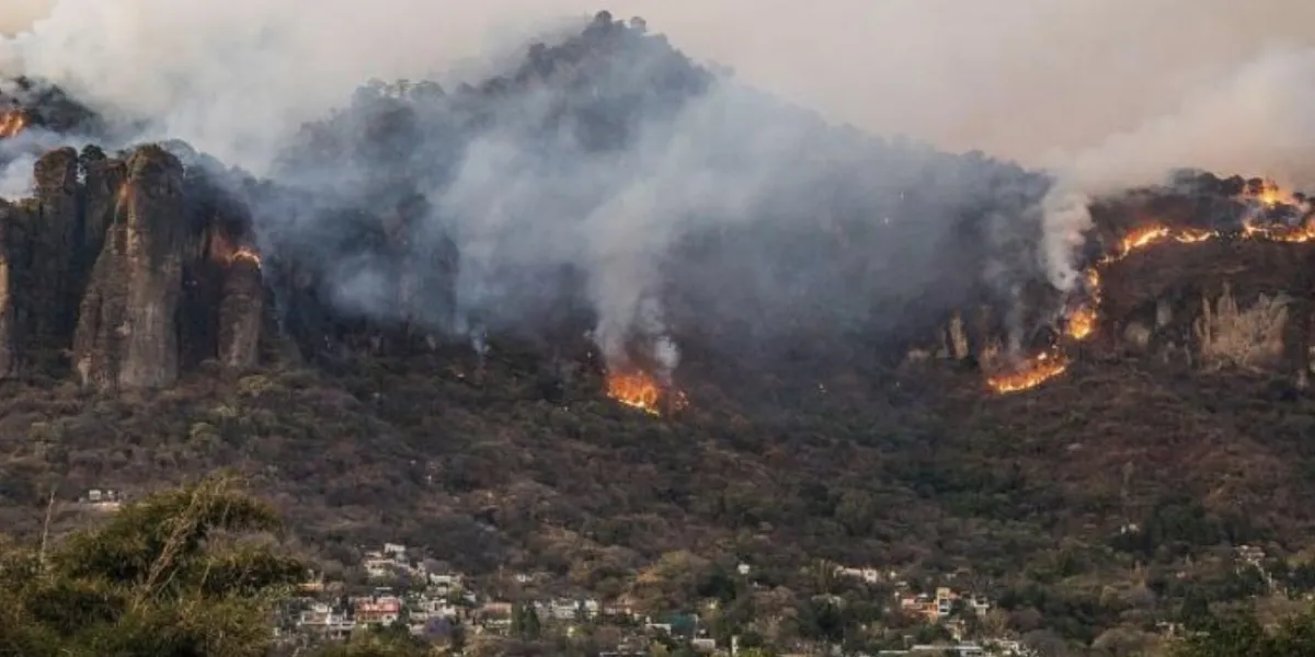 Protección Civil reporta 115 incendios forestales en 2026, cifra menor a años anteriores en Morelos.