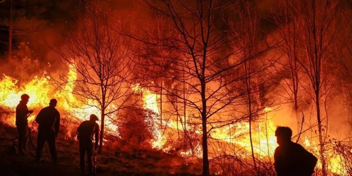 Bomberos de Cuernavaca reportan 390 incendios en 2026 y advierten aumento en temporada de estiaje