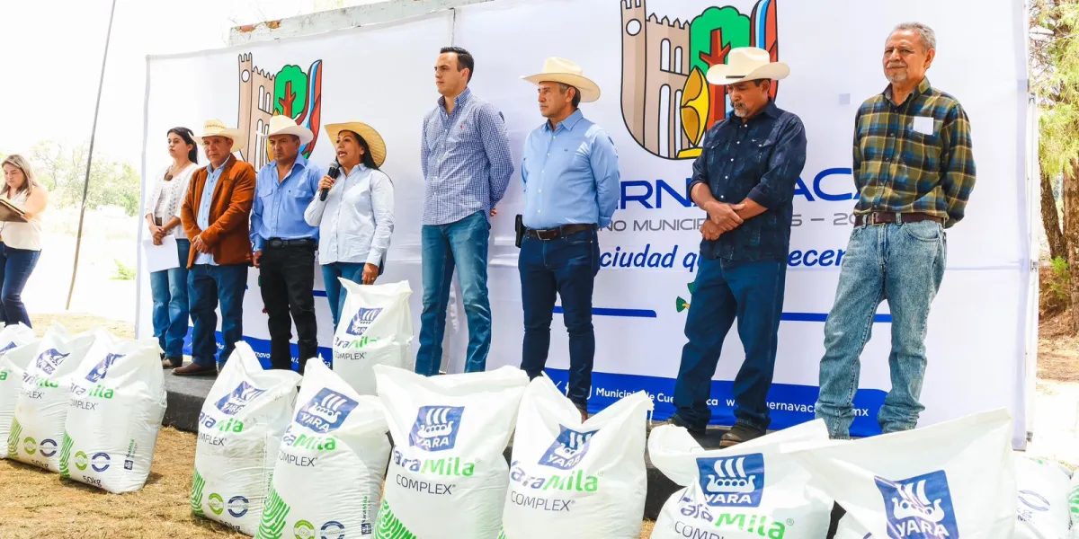 El Ayuntamiento de Cuernavaca entregó apoyos a 221 productores de aguacate con fertilizantes y geomembranas para fortalecer el campo.