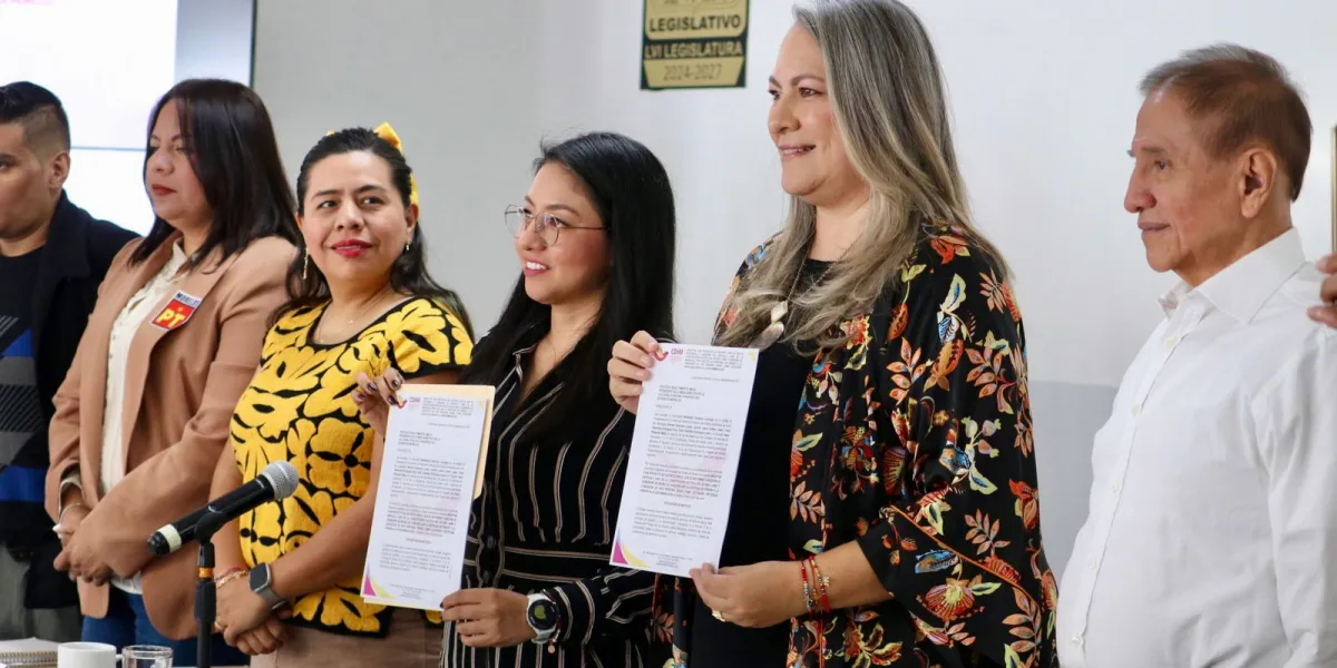 Diputada Brenda Espinoza