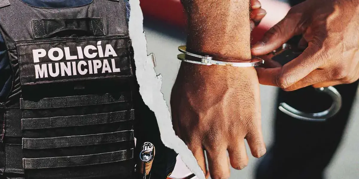 nexos crimen organizado