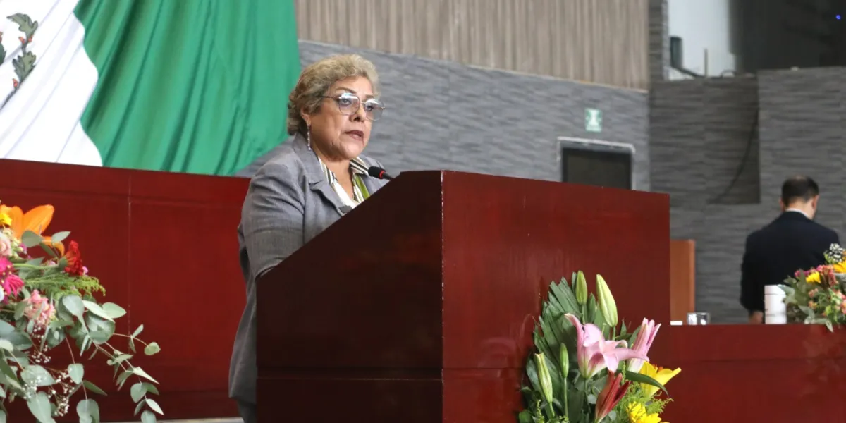 Diputada Ruth 