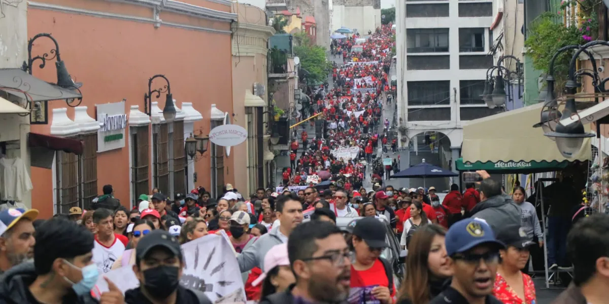 CNTE LDH