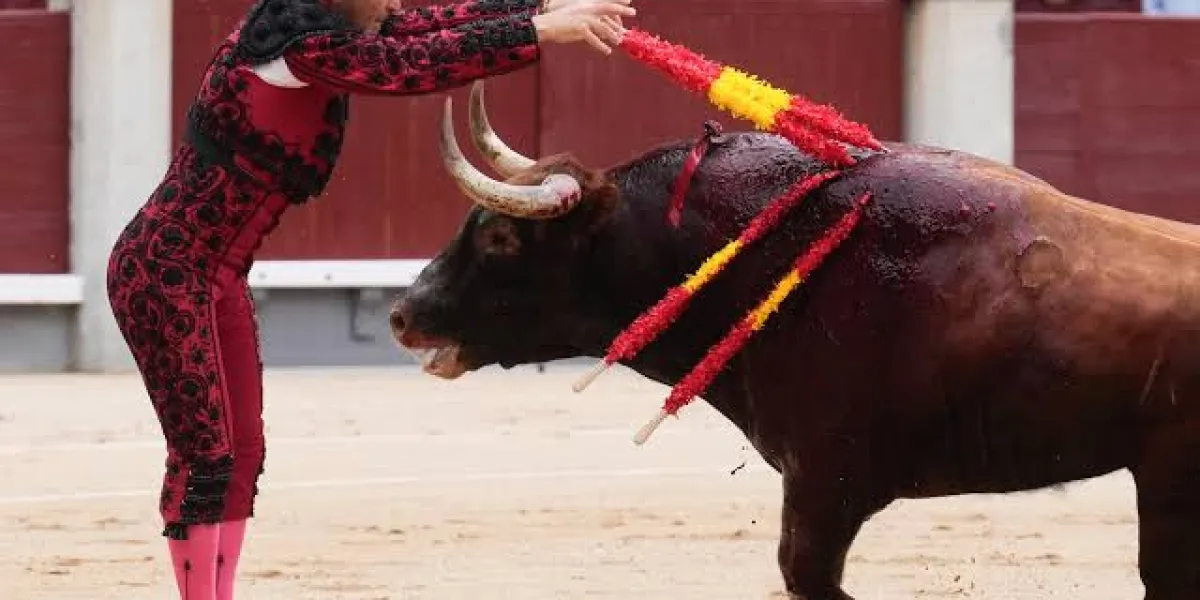 Cortesía