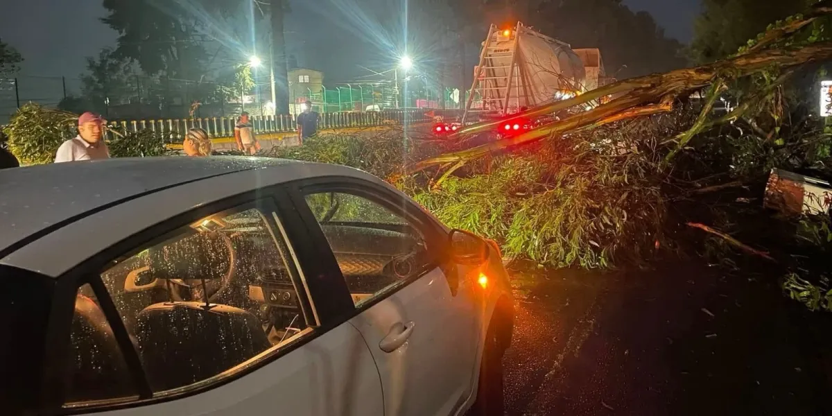 LDH