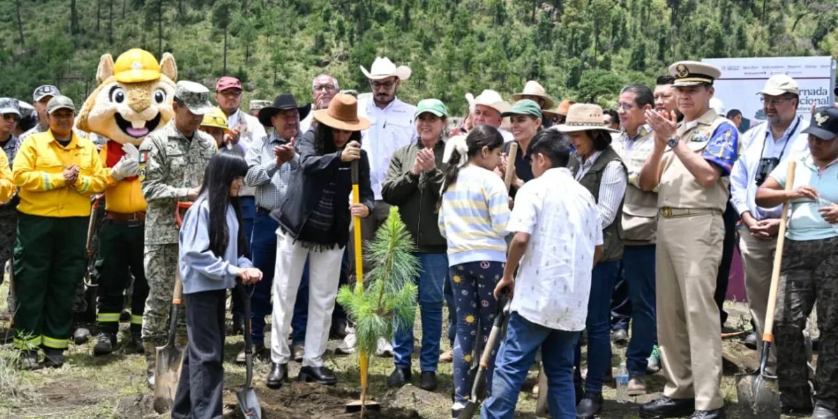 Morelos se suma a la Jornada Nacional de Reforestación 2026