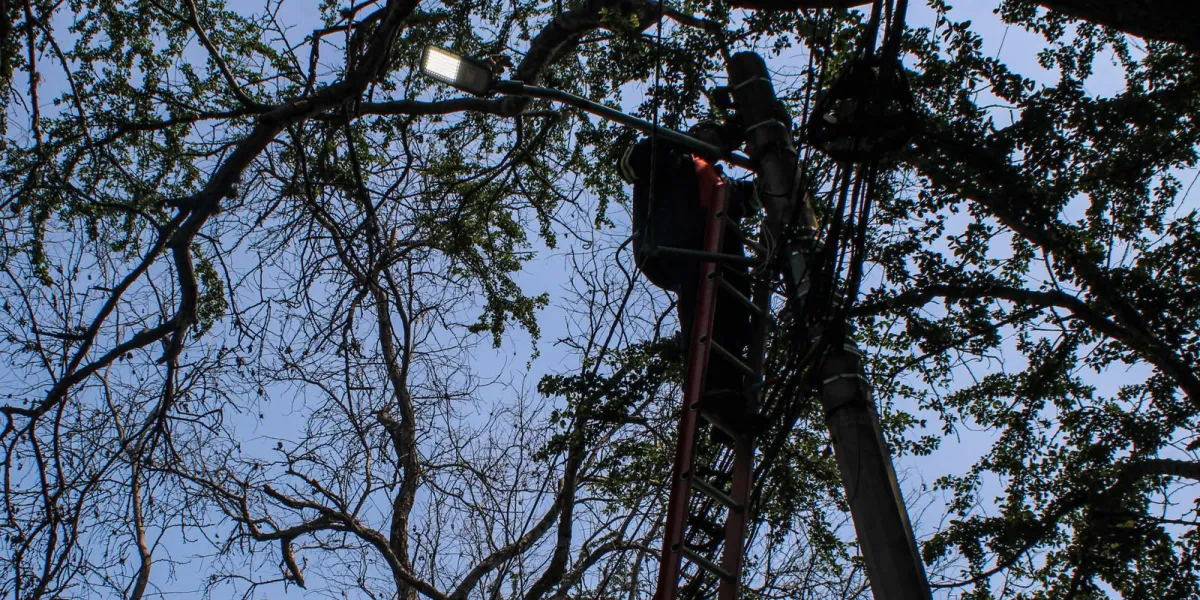 Cuernavaca rehabilitó al 100% el alumbrado público de la avenida Palmira mediante el programa Iluminando Cuernavaca, con trabajos de mantenimiento e instalación de luminarias.