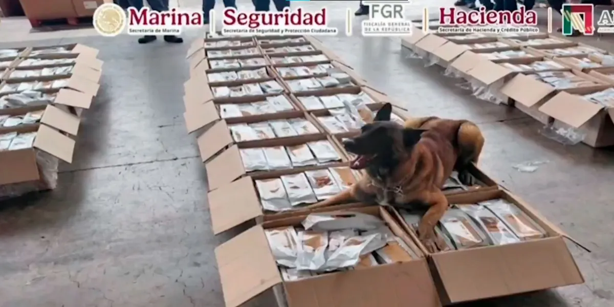 Binomio canino detecta una tonelada de café con presunta cocaína en el AICM