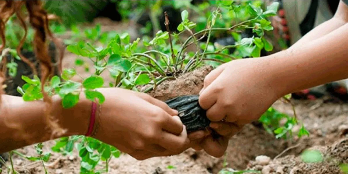 Temas del Conversatorio ecosocialismo y defensa del ambiente y el territorio
