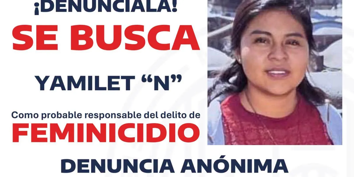 Ficha de búsqueda