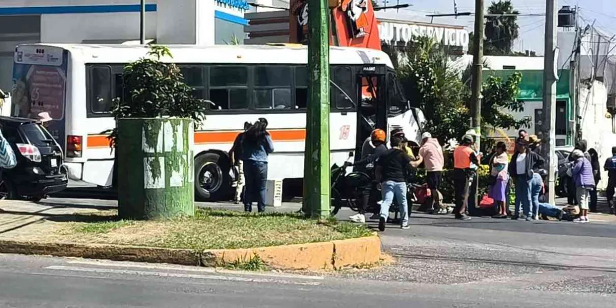 •	Transporte: el pulpo que nadie se atreve a tocar