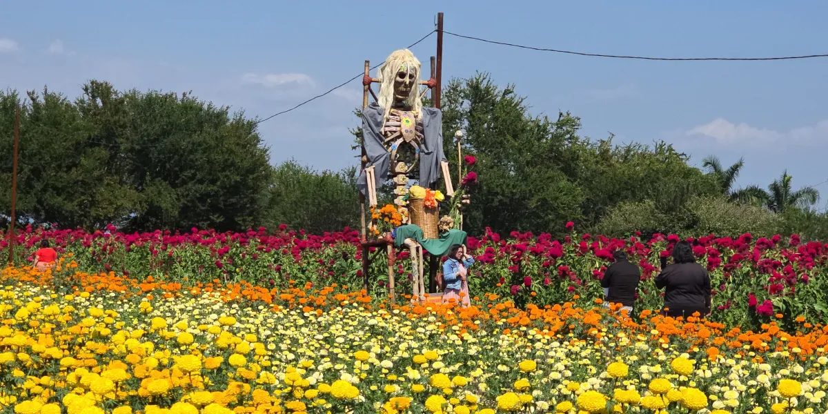El Festival Cempatzongo Amayuca 2026 abrió su Concurso de Catrinas Monumentales, con premios de hasta 20 mil pesos y piezas de hasta cinco metros.