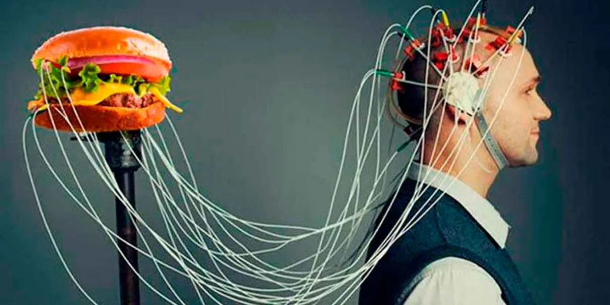 Ultraprocesados y cerebro: qué alimentos podrían afectar la memoria