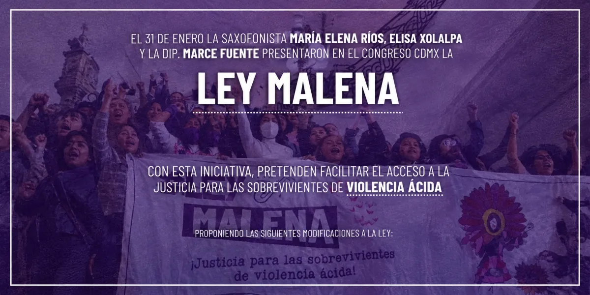 Diputada pide aplicar Ley Malena en feminicidio de María de los Ángeles