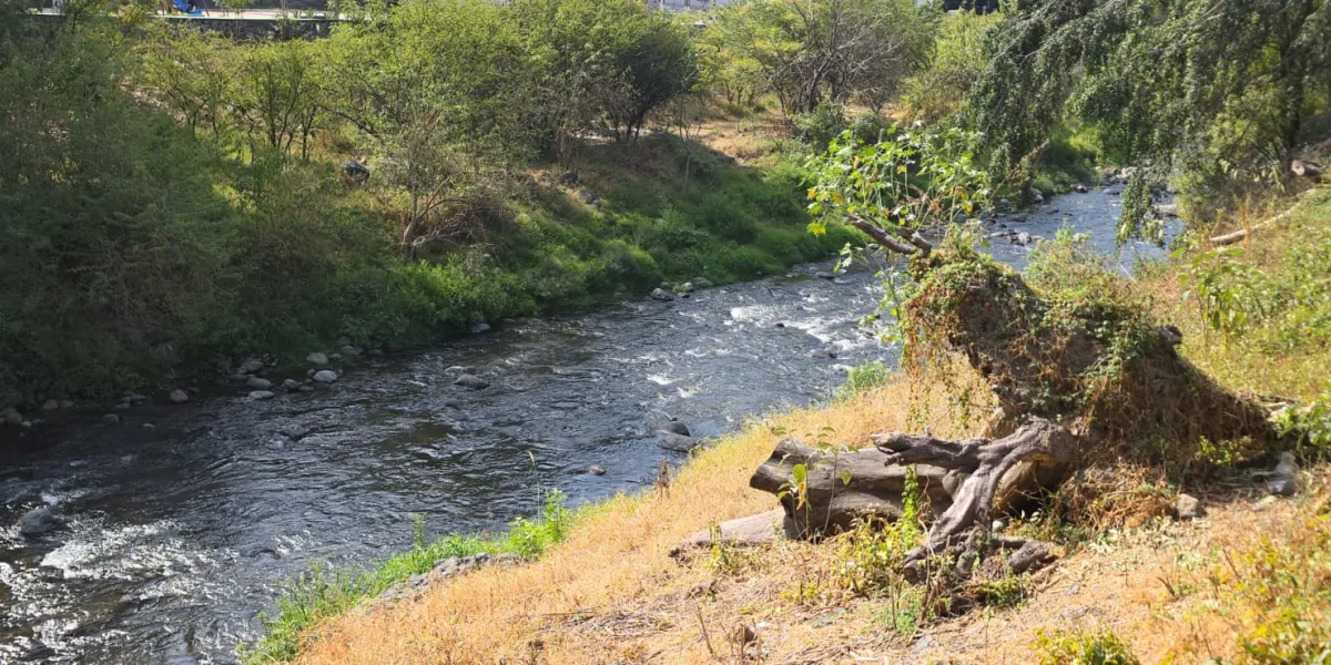 La asociación Salvemos al Río Cuautla pidió frenar descargas residuales y reforzar las acciones para proteger el agua en Morelos.