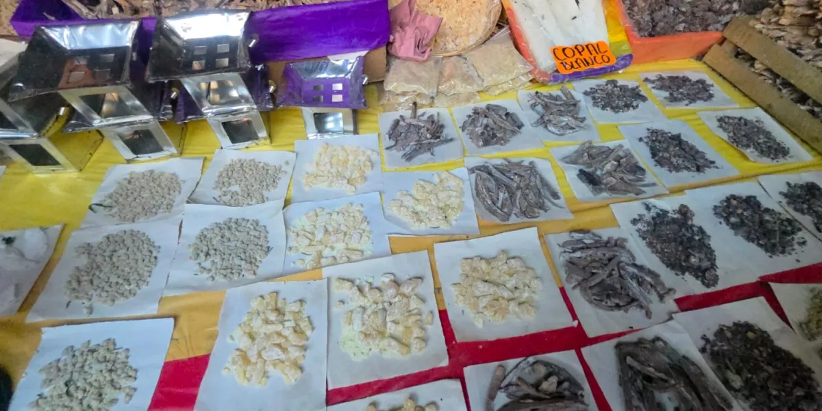 Comerciantes locales reportan un aumento de 200 pesos en el precio del copal blanco frente a la temporada anterior de Día de Muertos.
