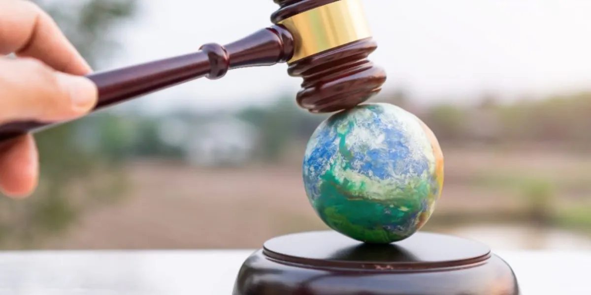 Reflexiones sobre derechos de entes de la naturaleza distintos a los humanos 