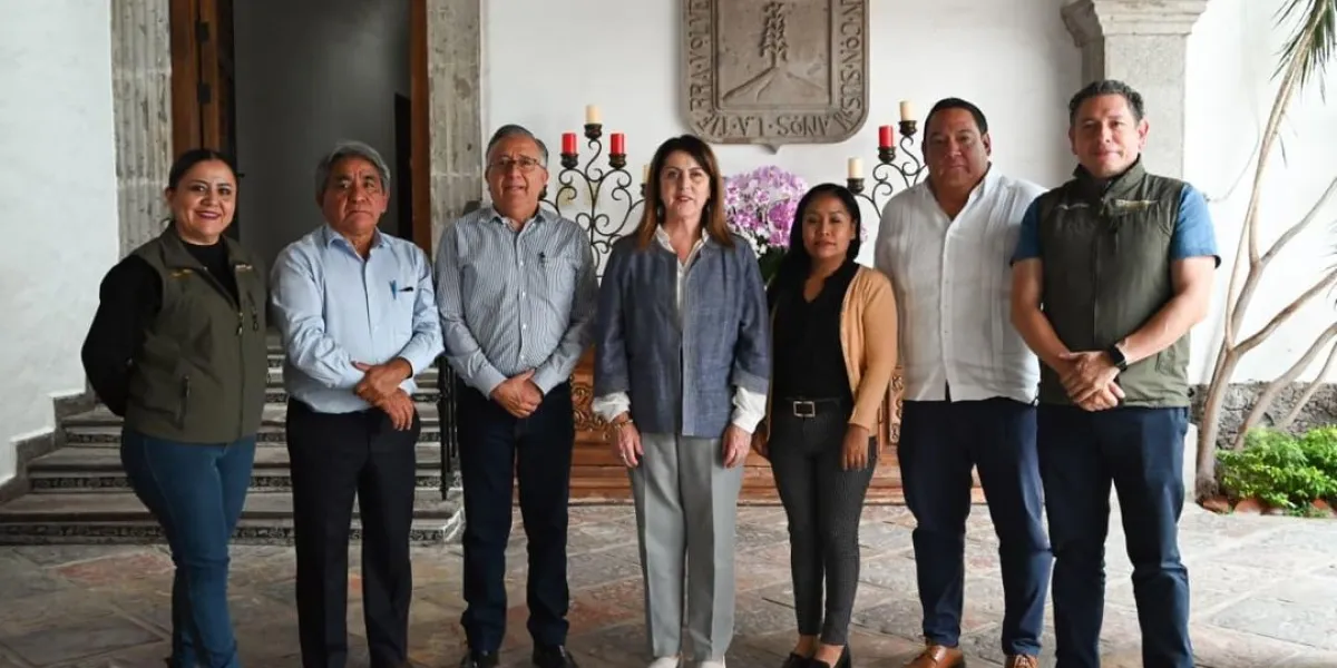 Más de la mitad se encuentran inhabilitadas