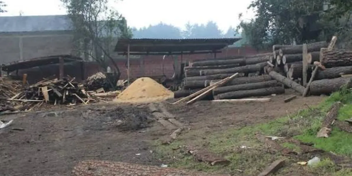 Huitzilac es prioritario por su ubicación en el Bosque de Agua y la incidencia de tala clandestina