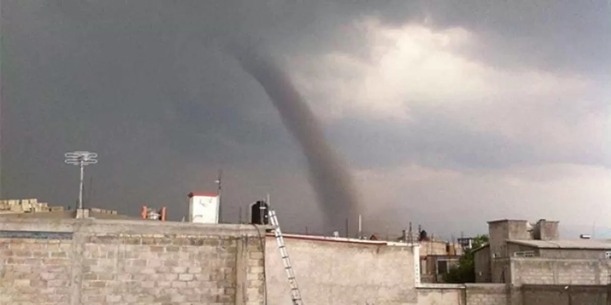 TORNADO sorprende en Toluca; reportan caída de árboles, bardas y techos