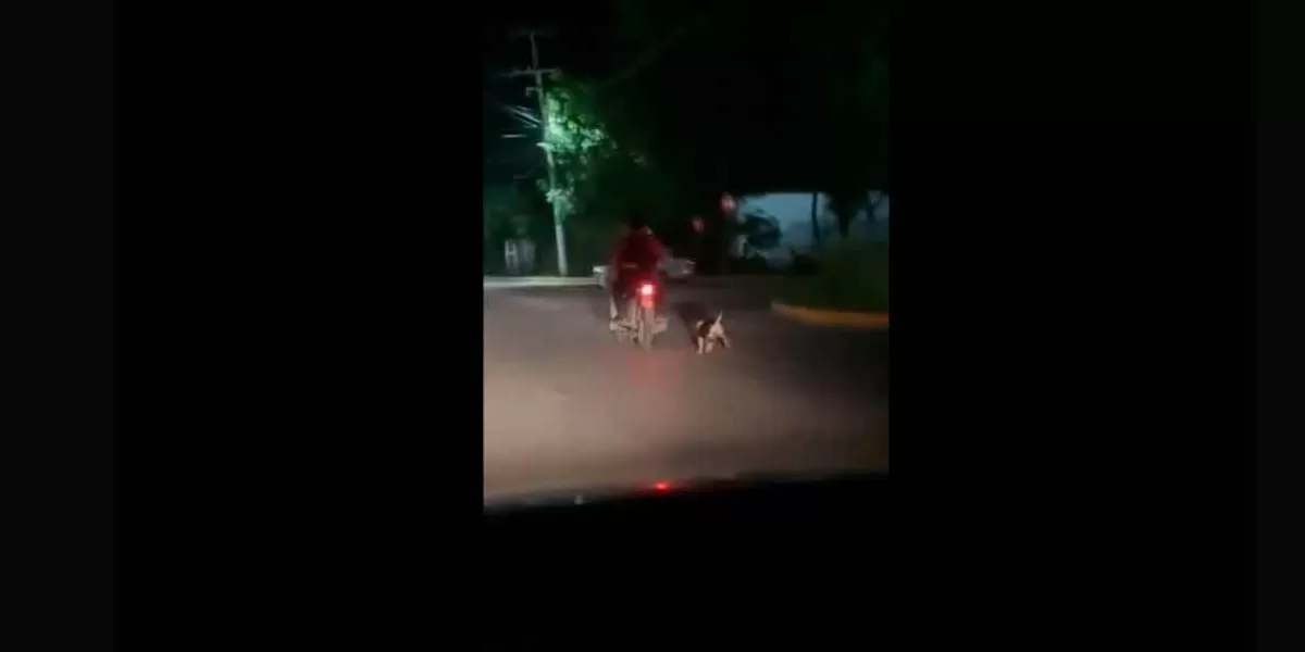 VIDEO. Maltrato animal en Tabasco, motociclistas arrastraban a un perro 
