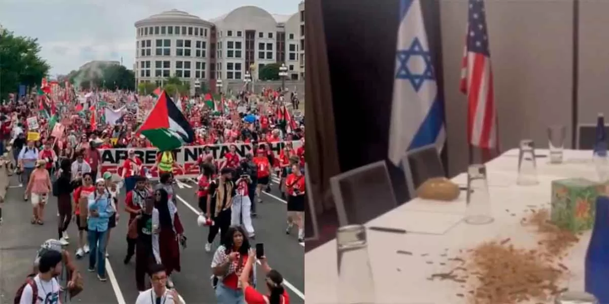 VIDEO. Manifestantes liberan insectos en hotel de Netanyahu; rechazan visita y política en Gaza