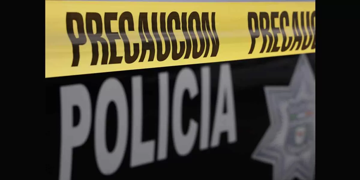 Policías de Aguascalientes son acusados de asesinar a la perrita Sombra