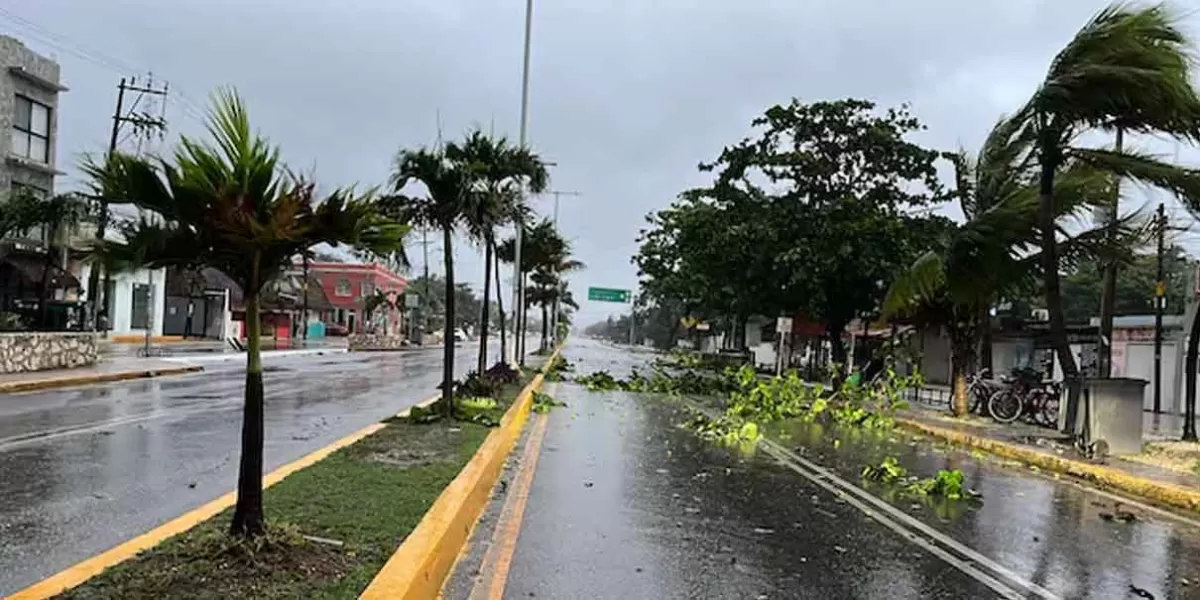 Caída de árboles, postes y techumbres tras la llegada de Beryl a Tulum