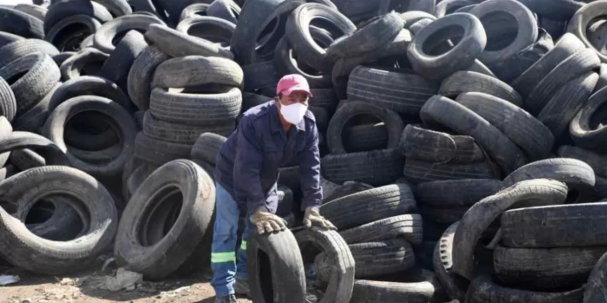 Secretaría de Economía investiga hule chino por dumping